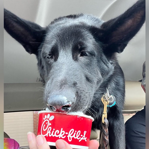 👉PLEASE LIKE AND SHARE NEW GAME! 😊🥰🎉 - Picture 6 of 16